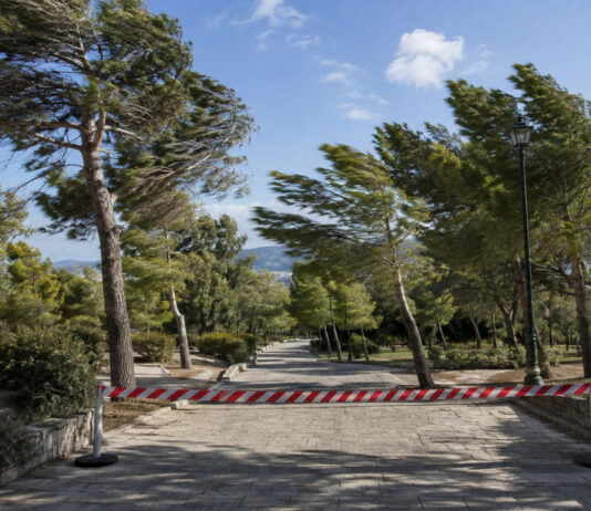 Γαλάτσι: Κλειστό σήμερα το Άλσος Βεΐκου λόγω κατηγορίας κινδύνου 5 Ανεμοδαρμένα πεύκα και προστατευτικό εμπόδιο στην είσοδο αστικού άλσους