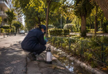 Γαλάτσι: Έλεγχοι και προνυμφοκτονία στην τέταρτη εφαρμογή του 2026 Τεχνικός περιβάλλοντος ελέγχει φρεάτιο και στάσιμα νερά σε αστική γειτονιά