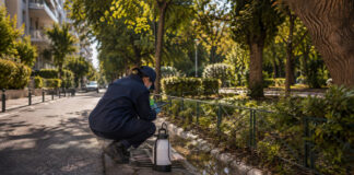 Γαλάτσι: Έλεγχοι και προνυμφοκτονία στην τέταρτη εφαρμογή του 2026 Τεχνικός περιβάλλοντος ελέγχει φρεάτιο και στάσιμα νερά σε αστική γειτονιά