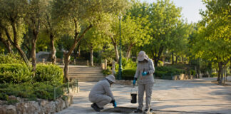 Γαλάτσι: Νέοι κύκλοι προνυμφοκτονίας στις 24 και 25 Αυγούστου Συνεργείο περιβαλλοντικού ελέγχου εξετάζει φρεάτιο σε αστικό πάρκο