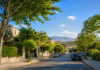 Καιρός Αττική: Αίθριος με έως 34°C και βοριά 6 μποφόρ Ηλιόλουστη θερινή ημέρα στα βόρεια προάστια της Αττικής με τα δέντρα να κινούνται στον βοριά