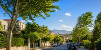 Καιρός Αττική: Αίθριος με έως 34°C και βοριά 6 μποφόρ Ηλιόλουστη θερινή ημέρα στα βόρεια προάστια της Αττικής με τα δέντρα να κινούνται στον βοριά