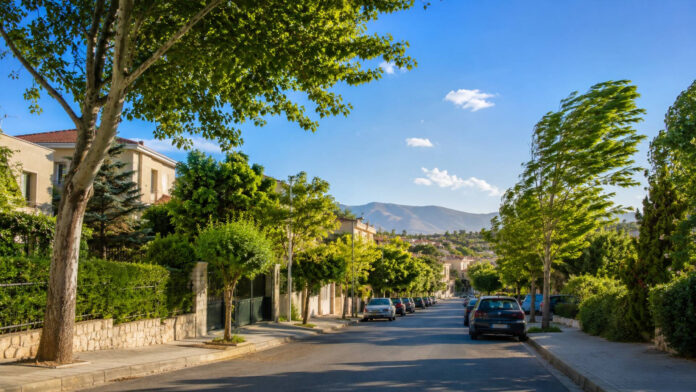 Ηλιόλουστη θερινή ημέρα στα βόρεια προάστια της Αττικής με τα δέντρα να κινούνται στον βοριά