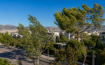 Καιρός στην Αττική: 35°C, ισχυρός βοριάς και Red Code Ηλιόλουστος καιρός με ισχυρό βόρειο άνεμο στα βόρεια προάστια της Αττικής