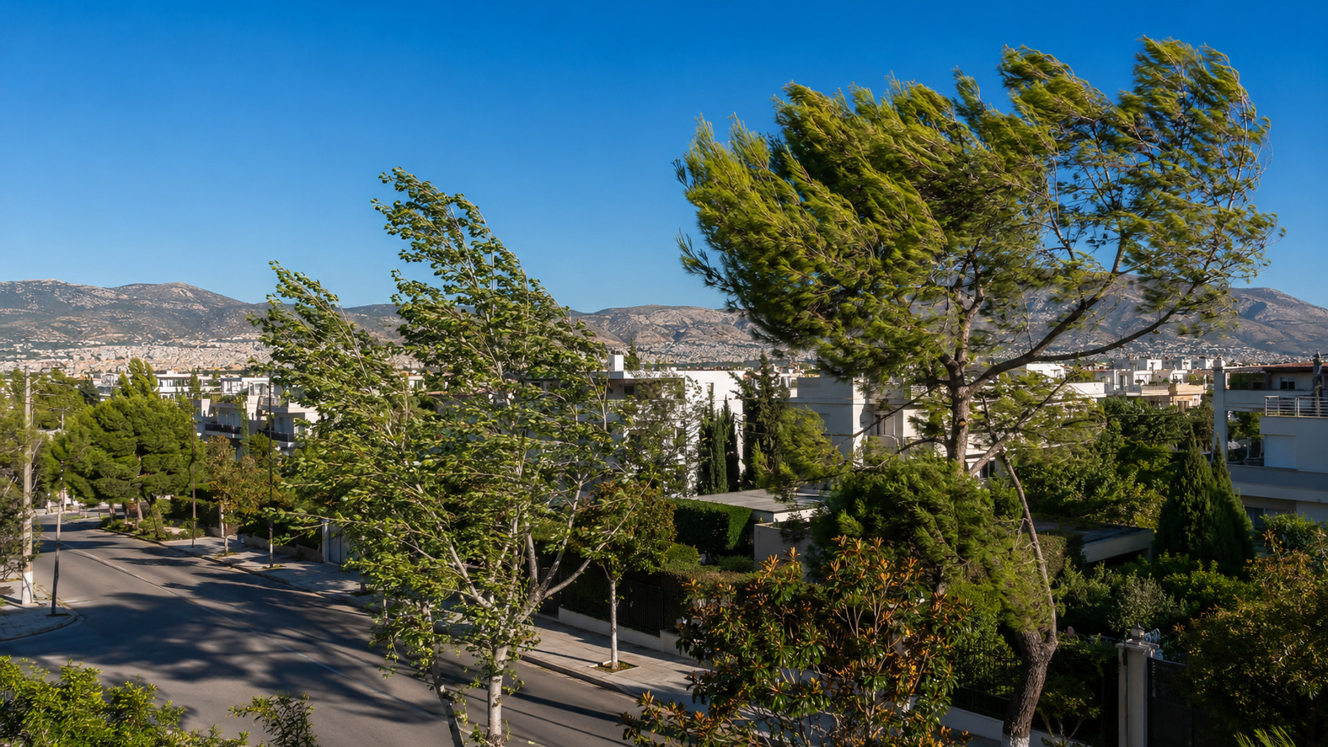 Ηλιόλουστος καιρός με ισχυρό βόρειο άνεμο στα βόρεια προάστια της Αττικής