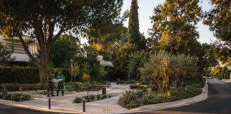 Κηφισιά: Δωρεά για κοινόχρηστο χώρο σε Ελευθερώτριας και Ξενίας Αναβαθμισμένος καταπράσινος κοινόχρηστος χώρος με προσβάσιμες διαδρομές και καθιστικά σε αστική γειτονιά