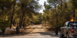 Κηφισιά: Κλειστά δάση, άλση και πάρκα στις 15 Αυγούστου Κλειστή είσοδος σε πευκόφυτο πάρκο στο πλαίσιο προληπτικών μέτρων πυροπροστασίας