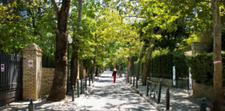 Κηφισιά: Τι ισχύει τον Αύγουστο για τον καθαρισμό οικοπέδων και την αντιπυρική προστασία Δενδροφυτεμένος δρόμος στην Κηφισιά - ενδεικτική εικόνα για την αντιπυρική προστασία