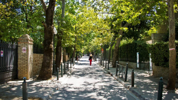 Δενδροφυτεμένος δρόμος στην Κηφισιά - ενδεικτική εικόνα για την αντιπυρική προστασία