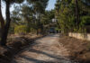Λυκόβρυση–Πεύκη: Τι απαντά ο Δήμος για την άσφαλτο στο Δάσος Κάσδαγλη Χωματόδρομος ανάμεσα σε πεύκα μετά την αποξήλωση τμήματος ασφάλτου