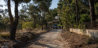 Λυκόβρυση–Πεύκη: Τι απαντά ο Δήμος για την άσφαλτο στο Δάσος Κάσδαγλη Χωματόδρομος ανάμεσα σε πεύκα μετά την αποξήλωση τμήματος ασφάλτου