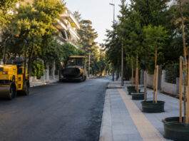 Νέα Ιωνία: Αποκατάσταση της οδού Κάλβου και αντικατάσταση δέντρων Αποκατάσταση αστικού οδοστρώματος με νεαρά δέντρα έτοιμα για φύτευση