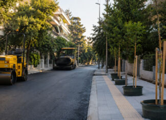 Νέα Ιωνία: Αποκατάσταση της οδού Κάλβου και αντικατάσταση δέντρων Αποκατάσταση αστικού οδοστρώματος με νεαρά δέντρα έτοιμα για φύτευση