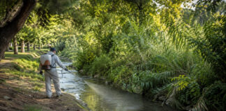 Παπάγου–Χολαργός: Ψεκασμοί σε λίμνη Verde και τέσσερα ρέματα στις 31/8 Συνεργείο πρόληψης κουνουπιών πραγματοποιεί εφαρμογή σε ρέμα με πυκνή βλάστηση
