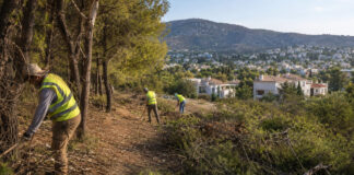 Παπάγου–Χολαργός: Περιμετρικές ζώνες πυροπροστασίας κοντά σε κατοικίες Συνεργεία απομακρύνουν ξηρά κλαδιά σε ζώνη πυροπροστασίας κοντά σε κατοικημένη περιοχή
