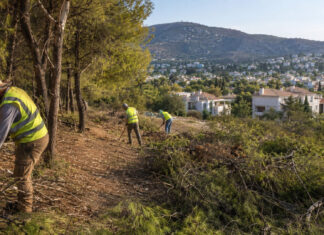 Παπάγου–Χολαργός: Περιμετρικές ζώνες πυροπροστασίας κοντά σε κατοικίες Συνεργεία απομακρύνουν ξηρά κλαδιά σε ζώνη πυροπροστασίας κοντά σε κατοικημένη περιοχή