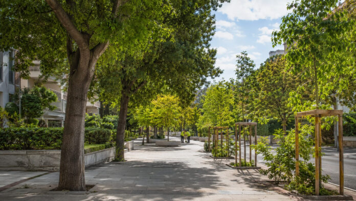 Δεντροφυτεμένος κοινόχρηστος χώρος με ώριμα δέντρα και νέα υποστηριζόμενα δενδρύλλια
