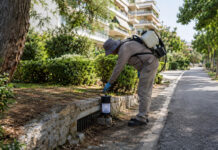 Βριλήσσια: Έκτακτα μέτρα μετά από κρούσμα του ιού του Δυτικού Νείλου Εργαζόμενος περιβάλλοντος ελέγχει παγίδα κουνουπιών δίπλα σε φρεάτιο σε καταπράσινη γειτονιά