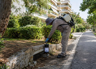 Βριλήσσια: Έκτακτα μέτρα μετά από κρούσμα του ιού του Δυτικού Νείλου Εργαζόμενος περιβάλλοντος ελέγχει παγίδα κουνουπιών δίπλα σε φρεάτιο σε καταπράσινη γειτονιά