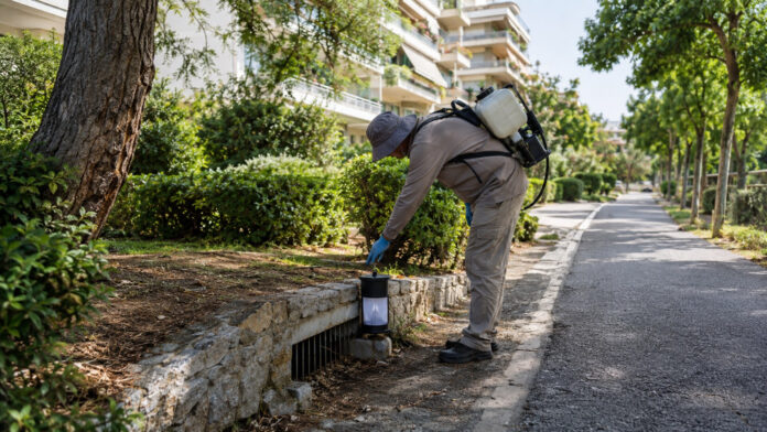 Εργαζόμενος περιβάλλοντος ελέγχει παγίδα κουνουπιών δίπλα σε φρεάτιο σε καταπράσινη γειτονιά
