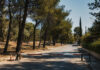 Βριλήσσια: Κατηγορία 4 και κλειστά δύο οδικά τμήματα τη Δευτέρα Προληπτικός αποκλεισμός δρόμου δίπλα σε πευκόφυτη ζώνη στα Βριλήσσια