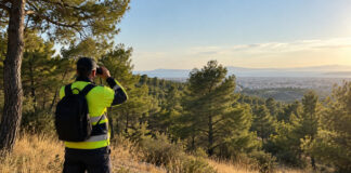 Αττική: Στην κατηγορία 2 ο κίνδυνος πυρκαγιάς τη Δευτέρα Επιτήρηση πευκοδάσους στην Αττική για την πρόληψη πυρκαγιάς