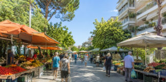 Χολαργός: Στις Αετιδέων και Ευριπίδου η λαϊκή αγορά έως 30 Νοεμβρίου Υπαίθρια λαϊκή αγορά με πάγκους οπωροκηπευτικών σε δενδροφυτεμένο αστικό δρόμο