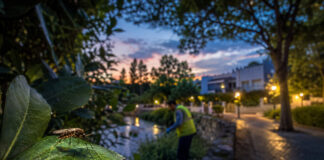 Ιός Δυτικού Νείλου: 12 δήμοι του Βόρειου Τομέα στην επικαιροποιημένη λίστα Κουνούπι σε φύλλο και έλεγχος βλάστησης σε αστικό πάρκο των βορείων προαστίων