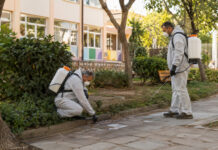 Λυκόβρυση–Πεύκη: Πέντε σημεία στο πρόγραμμα κουνουποκτονίας της Παρασκευής Συνεργεία κουνουποκτονίας ελέγχουν βλάστηση και σχάρες ομβρίων σε σχολικό προαύλιο