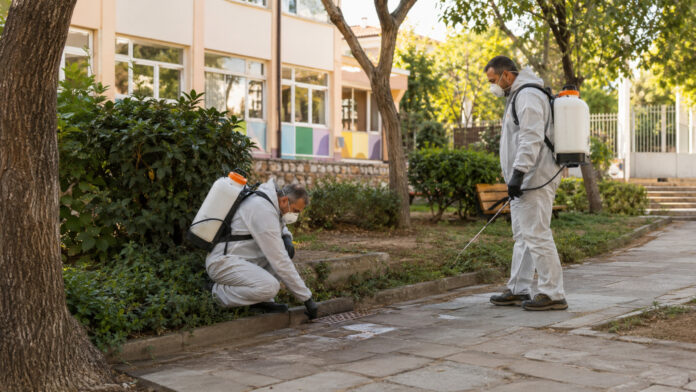 Συνεργεία κουνουποκτονίας ελέγχουν βλάστηση και σχάρες ομβρίων σε σχολικό προαύλιο