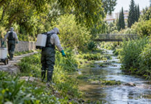 Μεταμόρφωση: Σε επτά ρέματα ο 14ος κύκλος κουνουποκτονίας στις 16 Σεπτεμβρίου Συνεργείο εφαρμογών κατά των κουνουπιών δίπλα σε αστικό ρέμα