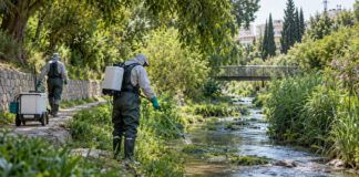 Μεταμόρφωση: Σε επτά ρέματα ο 14ος κύκλος κουνουποκτονίας στις 16 Σεπτεμβρίου Συνεργείο εφαρμογών κατά των κουνουπιών δίπλα σε αστικό ρέμα