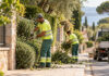 Πεντέλη: Παρεμβάσεις καθαριότητας και πρασίνου σε 72 σημεία Δημοτικό συνεργείο φροντίζει πεζοδρόμιο και χώρο πρασίνου σε αστική γειτονιά