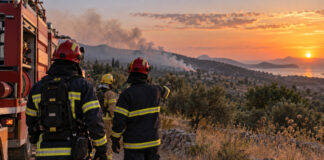 Πυροσβεστική: 28 αγροτοδασικές πυρκαγιές σε ένα 24ωρο – Οι 21 αντιμετωπίστηκαν άμεσα Πυροσβέστες σε επιχείρηση αντιμετώπισης αγροτοδασικής πυρκαγιάς