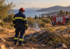 Ανατολική Αττική: Πρόστιμο 2.250 ευρώ για καύση φυτικών υπολειμμάτων Πυροσβέστης ελέγχει χώρο όπου έχουν καεί υπολείμματα φυτικής βλάστησης