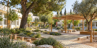 Χαλάνδρι: Το πρώτο βήμα για σχολικό «κλιματικό καταφύγιο» Πράσινο σχολικό προαύλιο με υδατοπερατό δάπεδο, δέντρα, φυτεύσεις και ξύλινα σκίαστρα