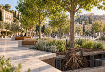 Χαλάνδρι: Πρόταση για 43 νέα δέντρα στην Κεντρική Πλατεία Αστικά δέντρα με υπόγειο χώρο ριζών και αυτοματοποιημένη άρδευση σε σύγχρονη πλατεία