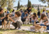 Ηράκλειο Αττικής: Ημέρα Υιοθεσίας με σκύλους, γάτες και ενημερωτικές δράσεις Οικογένειες και εθελοντές γνωρίζουν σκύλους και γάτες σε ημέρα υιοθεσίας σε αστικό πάρκο