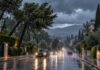 Καιρός στην Αττική: Βροχές, θυελλώδεις βοριάδες και κρύο στα βόρεια Βροχή και ισχυροί άνεμοι σε δενδροφυτεμένο δρόμο των βορείων προαστίων