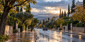 Καιρός στην Αττική: Ψυχρό πρωινό και σταδιακή βελτίωση Συννεφιασμένο φθινοπωρινό πρωινό με βρεγμένο δρόμο και πράσινο στα βόρεια προάστια