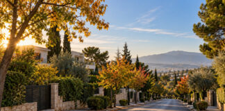 Καιρός στην Αττική: Ηλιοφάνεια και έως 23°C τη Δευτέρα Ηλιόλουστο φθινοπωρινό πρωινό σε δεντροφυτεμένη γειτονιά των βορείων προαστίων της Αττικής