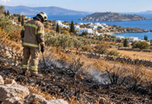Κέα: Σύλληψη και πρόστιμο 2.250 ευρώ για πυρκαγιά σε αγροτοδασική έκταση Πυροσβέστης επιθεωρεί καμένη αγροτοδασική έκταση σε νησιωτικό τοπίο