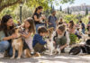 Κηφισιά: Γιορτή για τα ζώα με υιοθεσίες και εθελοντισμό στο Άλσος Οικογένειες και εθελοντές γνωρίζουν σκύλους και γάτες σε πράσινο αστικό πάρκο