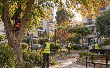 Μαρούσι: Παρεμβάσεις καθαριότητας και πρασίνου στις γειτονιές Συνεργείο συντηρεί δέντρα και κοινόχρηστο πράσινο σε γειτονιά του Αμαρουσίου