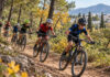 Μαρούσι: Ρεκόρ 148 αθλητών στο 9ο MTB DOXA CUP Νεαροί ποδηλάτες με κράνη αγωνίζονται σε χωμάτινη διαδρομή ορεινής ποδηλασίας στο Μαρούσι