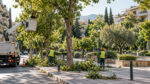 &Delta;&eta;&mu;&omicron;&tau;&iota;&kappa;ό &sigma;&upsilon;&nu;&epsilon;&rho;&gamma;&epsilon;ί&omicron; &phi;&rho;&omicron;&nu;&tau;ί&zeta;&epsilon;&iota; ώ&rho;&iota;&mu;&alpha; &delta;έ&nu;&tau;&rho;&alpha; &sigma;&epsilon; &alpha;&sigma;&tau;&iota;&kappa;ή &pi;&lambda;&alpha;&tau;&epsilon;ί&alpha;