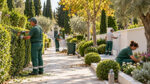 Μελίσσια: Συνολική παρέμβαση καθαρισμού στο κοιμητήριο Δημοτικό συνεργείο καθαρίζει, κλαδεύει και φροντίζει διαμορφωμένους χώρους πρασίνου