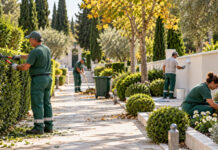 Μελίσσια: Συνολική παρέμβαση καθαρισμού στο κοιμητήριο Δημοτικό συνεργείο καθαρίζει, κλαδεύει και φροντίζει διαμορφωμένους χώρους πρασίνου